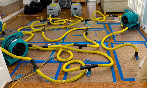 Professional Burst Pipe Water Damage technician working in Mount Freedom, NJ